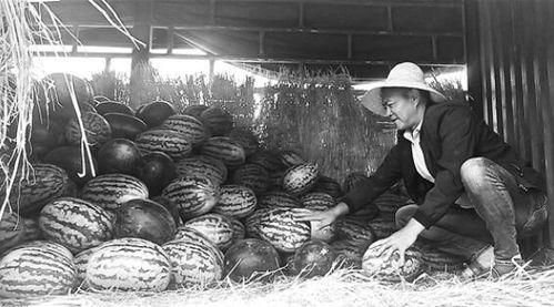 太原祥云桥吃瓜群众,吃瓜群众见证的街头风云