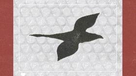 邀请他人吃瓜,邀请好友共享美味与欢乐