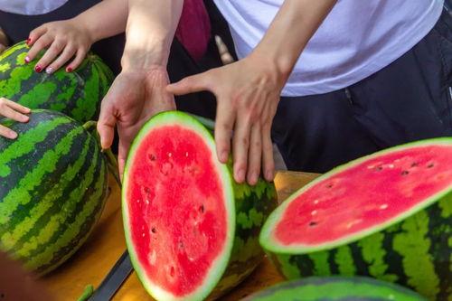 瓜王免费吃,免费畅享，尽享夏日清凉