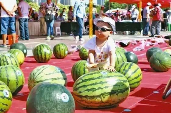 瓜王免费吃,免费畅享，尽享夏日清凉