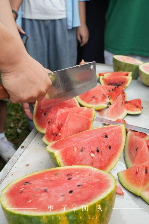 吃瓜学委,揭秘校园里的“瓜田”趣事