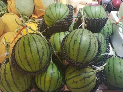 ss吃瓜中,娱乐圈幕后真相大曝光