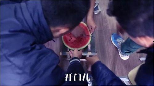 奇葩爆料吃瓜视频,奇葩爆料吃瓜视频背后的真相