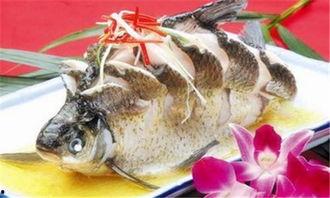 土瓜鱼可以吃吗,美味还是禁忌？探究其食用安全与营养价值