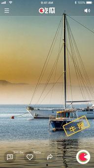 手机拍摄吃瓜视频,趣味横生的美食短视频集锦