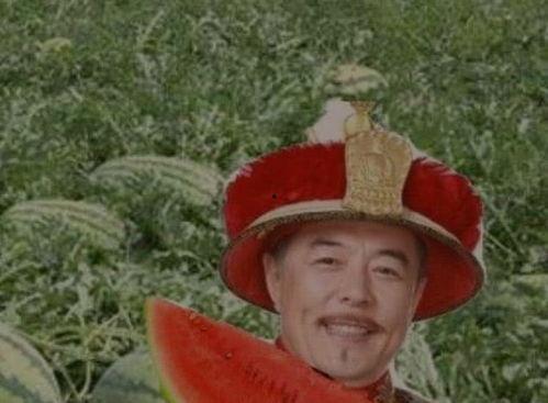 吃瓜真甜,揭秘娱乐圈甜蜜背后的故事