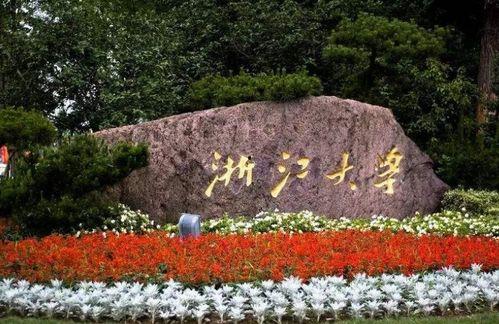 浙江学院吃瓜,揭秘校园美食背后的故事