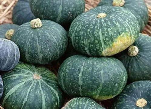 山大威海有瓜吃,瓜果飘香，共享美好时光