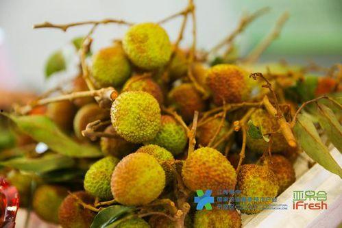 望都吃瓜视频,揭秘网络热点的背后故事