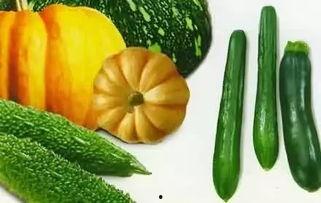夏天吃的有什么瓜,盘点夏季必尝的清凉瓜类美食