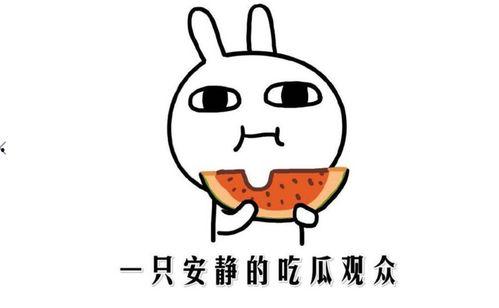 吃瓜网络啥意思,网络热词背后的社会现象