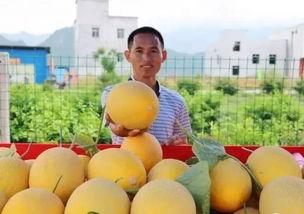 黄金吃瓜视频,揭秘娱乐圈幕后真相