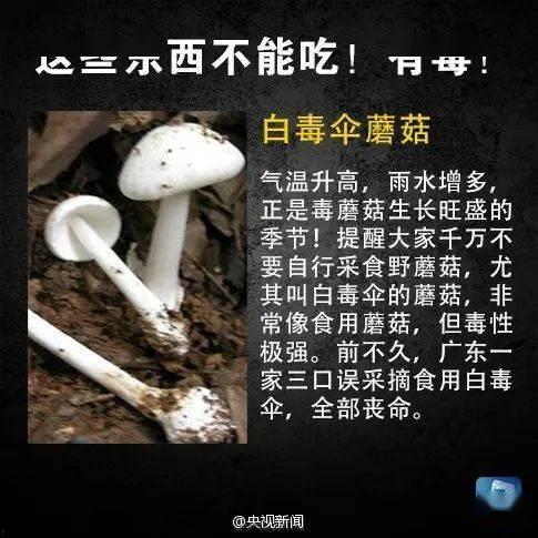 吃瓜有哪些风险,警惕这些潜在危害