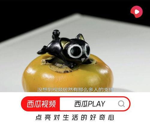 壶提提吃瓜视频