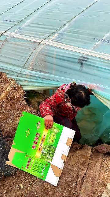 腊月吃瓜,传统美食共庆团圆