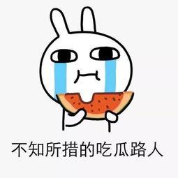 吃瓜吃多了累了,吃瓜过多，身心俱疲