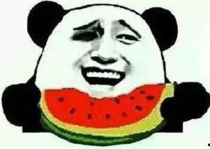 吃瓜群众狗蛋,吃瓜群众的趣味生活