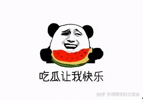 吃瓜震惊文案搞笑,笑料百出，吃瓜群众惊掉下巴！