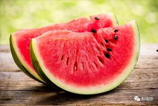 吃二瓜老想吐,揭秘吃瓜后的奇妙体验