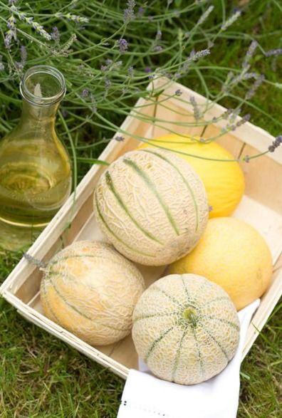 吃二瓜老想吐,揭秘吃瓜后的奇妙体验