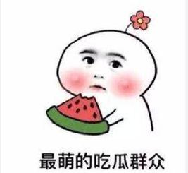 吃瓜网林清平,吃瓜网上的“瓜王”传奇