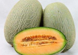 立冬吃瓜越吃越发,探寻传统习俗中的健康智慧