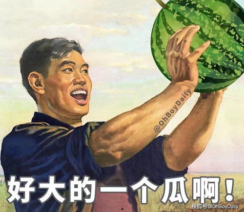 元首吃瓜图片,揭秘政坛幕后趣闻