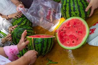 催吃瓜视频,揭秘催吃瓜视频背后的真相与影响