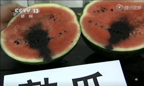 催吃瓜视频,揭秘催吃瓜视频背后的真相与影响