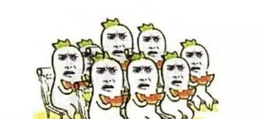 吃瓜群众派对锦鲤,吃瓜群众派对盛况空前