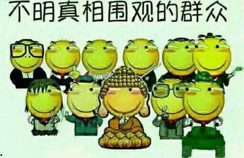 吃瓜群众派对锦鲤,吃瓜群众派对盛况空前