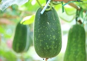 瓜瓜热吃瓜,揭秘娱乐圈的幕后故事