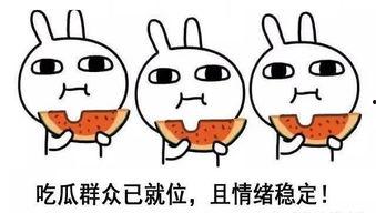 带你吃瓜结局,结局揭秘，真相大白！