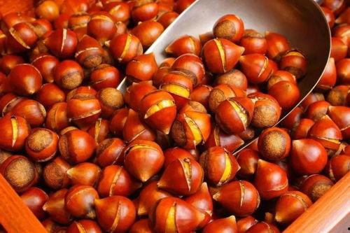 沙漠板栗瓜怎么吃,探索美味新境界