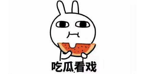 吃瓜队友文案搞笑,吃瓜队友的欢乐日常