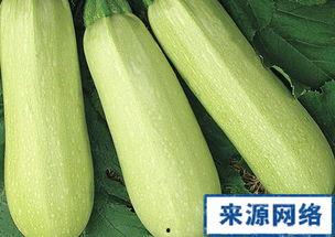 孕妇角瓜可以吃吗,角瓜的适宜与禁忌