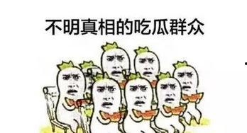 形容天天吃瓜的句子,揭秘天天吃瓜的趣味生活