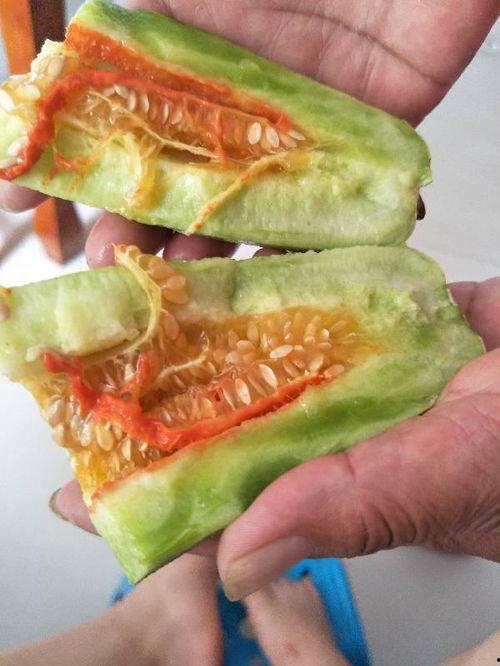 蒸着吃的黄色的瓜是什么瓜,家常美味，营养满分