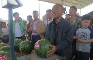 tes吃瓜群众,吃瓜群众热议，揭秘游戏圈幕后风云