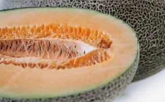 吃哈密瓜肚疼,揭秘夏日消暑水果的“甜蜜负担”