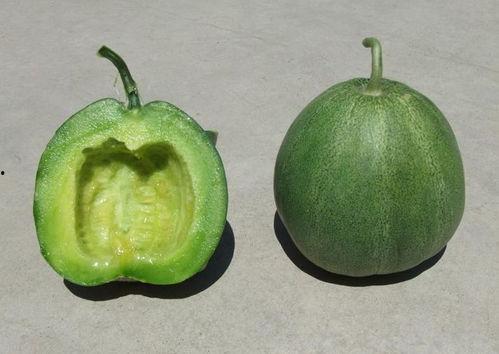 瓜用来做啥吃,探索各种瓜的美食用途