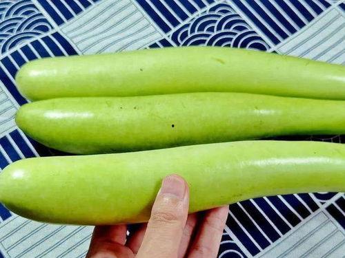 活到99 吃瓜,活到99，尽享人间“瓜”事