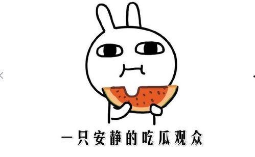 吃瓜了嘛啥意思,网络流行语的趣味解读