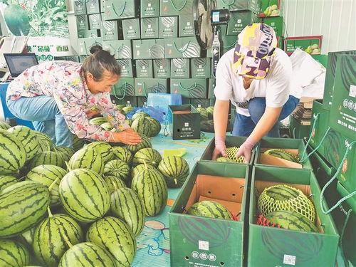 曹县安仁集吃瓜,瓜香四溢的夏日美食之旅