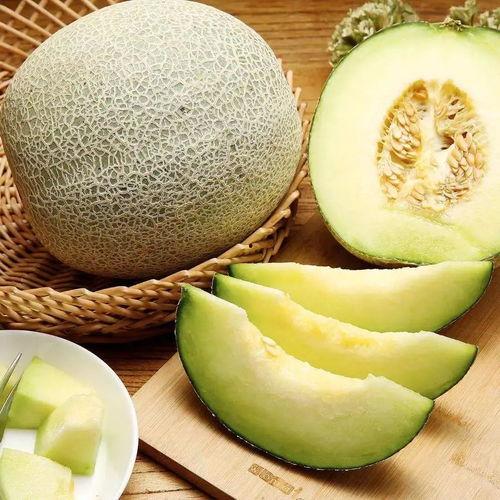 阑尾囊肿可以吃蜜瓜吗,阑尾囊肿患者蜜瓜食用指南