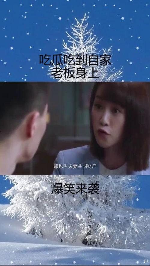 总裁喜欢吃瓜,揭秘总裁的神秘喜好