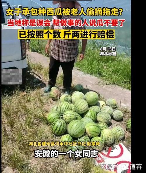 恩施吃瓜事件视频,一场引发热议的网络风波