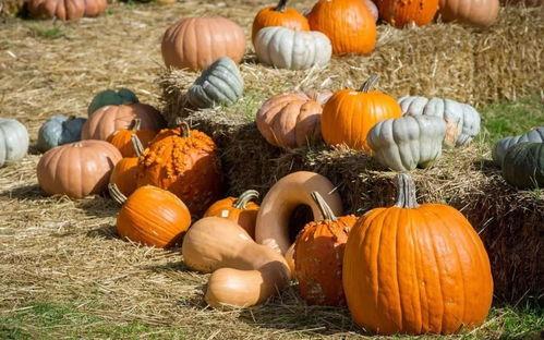 韩城吃瓜都有谁,揭秘幕后势力与精彩瞬间