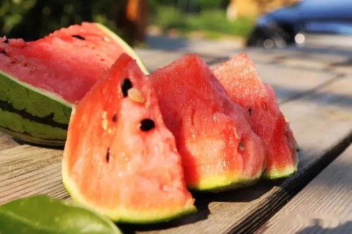 缅甸北吃瓜网站,揭秘神秘吃瓜网站的幕后故事