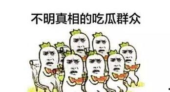 吃瓜丹丹,揭秘娱乐圈背后的那些事儿